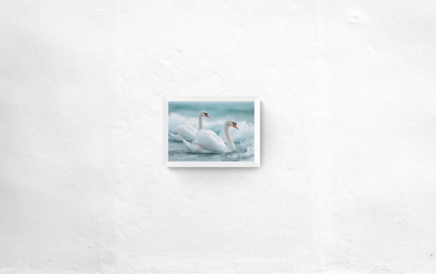 Afrodītes kolekcija: Gulbji II